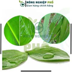 Chất Bám Dính, Tăng Hiệu Quả Thuốc BVTV Multiagro NGƯ ÔNG ĐẮC LỢI 5ml - Thẩm Thấu, Lưu Dẫn Mạnh, Giảm Bốc Hơi, Rửa Trôi 739303