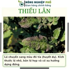 [KHUYỄN MÃI] Phân Supe Lân Lâm Thao Giúp Cây Phát Triển Bộ Rễ, Hình Thành Mầm Hoa, Đẻ Nhánh, Xanh, Dày Lá- Túi 1Kg 739304