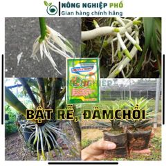 Phân Bón Siêu Lân Nano Gói 30g Siêu Dưỡng Dùng Được Cho Các Loại Hoa, Hoa Hồng, Phong Lan, Mai-Phân Bón Siêu Lân Tạo Mầm 739307