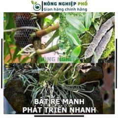 Phân Bón Siêu Lân Nano Gói 30g Siêu Dưỡng Dùng Được Cho Các Loại Hoa, Hoa Hồng, Phong Lan, Mai-Phân Bón Siêu Lân Tạo Mầm 739307