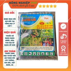 Thuốc Trừ Bệnh Sinh Học Lillacter Multiagro Đặc Trị Vi Khuẩn, Nấm Bệnh Hoa Kiểng, Cây, Hoa An Toàn Hiệu Quả Tuyệt Đối 739317