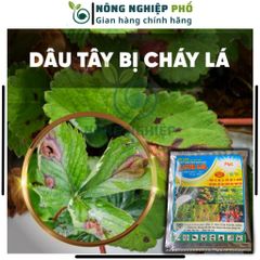 Thuốc Trừ Bệnh Sinh Học Lillacter Multiagro Đặc Trị Vi Khuẩn, Nấm Bệnh Hoa Kiểng, Cây, Hoa An Toàn Hiệu Quả Tuyệt Đối 739317