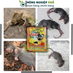 Thuốc Trừ Chuột Cực Mạnh ANTI mice 3DP Multiagro (Gói 10g) - Diệt Chuột Nhanh Như Cắt, Thể Hệ Mới 739321