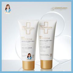 Kem chống nắng 4 trong 1 (da hỗn hợp, da dầu) Pháp DermEden 4 In 1 Day Cream Global Action 50ml