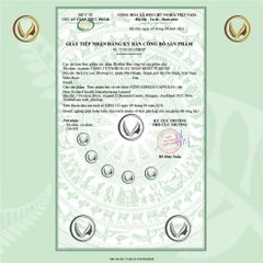 Combo viên uống bổ não, tăng cường tập trung, tỉnh táo Ginkgo Biloba & Brain Fuel Nootropics 60/100v 739547