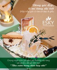 Set Quà Tặng Nam Nữ Ly Đá Khuếch Tán Tinh Dầu Thơm Phòng ESKY AROMA GARDEN