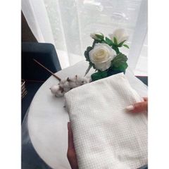 Khăn tắm nén du lịch tiện lợi (TH466)