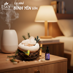 Set Quà Tặng Nam Nữ Tinh Dầu Đá Khuếch Tán Tổ Chim ESKY AROMA GARDEN Quà Tặng Sinh Nhật Noel Tết