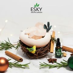 Set Quà Tặng Nam Nữ Tinh Dầu Đá Khuếch Tán Tổ Chim ESKY AROMA GARDEN Quà Tặng Sinh Nhật Noel Tết