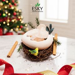 Set Quà Tặng Nam Nữ Tinh Dầu Đá Khuếch Tán Tổ Chim ESKY AROMA GARDEN Quà Tặng Sinh Nhật Noel Tết