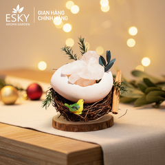 Set Quà Tặng Nam Nữ Tinh Dầu Đá Khuếch Tán Tổ Chim ESKY AROMA GARDEN Quà Tặng Sinh Nhật Noel Tết