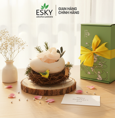 Set Quà Tặng Nam Nữ Tinh Dầu Đá Khuếch Tán Tổ Chim ESKY AROMA GARDEN Quà Tặng Sinh Nhật Noel Tết