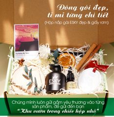 Set Quà Tặng Tinh Dầu Khuếch Tán Cắm Que ESKY AROMA GARDEN - Quà Tặng Ý Nghĩa Sinh Nhật Nam Nữ, Tạo Hương Thơm Thư Giãn 20/11