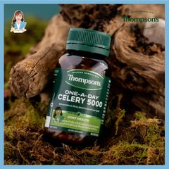 Viên uống giảm đau nhức khớp, giảm đau góut New Zealand Thompson’s One-A-Day Celery 5000mg 60 viên