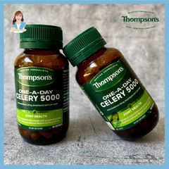 Viên uống giảm đau nhức khớp, giảm đau góut New Zealand Thompson’s One-A-Day Celery 5000mg 60 viên
