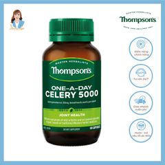 Viên uống giảm đau nhức khớp, giảm đau góut New Zealand Thompson’s One-A-Day Celery 5000mg 60 viên