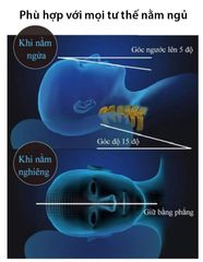 Gối Cao Su Non Cao Cấp – Gối Ngủ Chống Mỏi Cổ, Thấm Hút Tốt, Phù Hợp Mọi Tư Thế