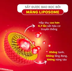 Sắt sinh học Ferrolip cho bà bầu và người thiếu máu, nhập khẩu từ Ý (Hộp 20 gói)