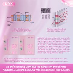Kem chống nắng nâng tông Srx Rosy Veil Tone Up Glow Sun Serum Spf 50 Pa++++ [hàng nhập khẩu]