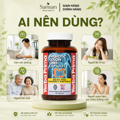 Viên Uống Yerba Prima Colon Care 180 Viên – Hỗ Trợ Tiêu Hóa & Bổ Sung Chất Xơ Prebiotic