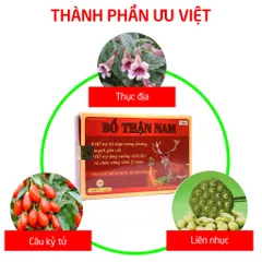 Bổ Thận Nam HDPHARMA bổ thận