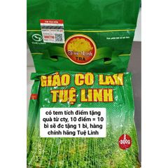 Trà Giảo Cổ Lam Tuệ Linh 300gram SỐ 1 CHO BỆNH TIỂU ĐƯỜNG, MỠ MÁU CAO VÀ CAO HUYẾT ÁP