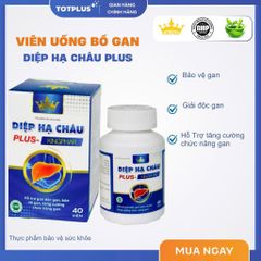 Diệp Hạ Châu Plus Kingphar – Hỗ Trợ Giải Độc Gan, Bảo Vệ Gan, Tăng Cường Chức Năng Gan (Hộp 40 Viên)