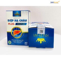 Diệp Hạ Châu Plus Kingphar – Hỗ Trợ Giải Độc Gan, Bảo Vệ Gan, Tăng Cường Chức Năng Gan (Hộp 40 Viên)