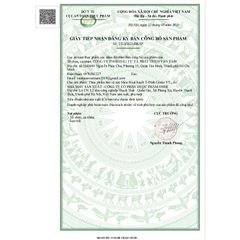Hoạt Huyết T-Đình Ginko VT – Hỗ Trợ Hoạt Huyết, Tăng Cường Tuần Hoàn Máu Não, Giảm Đau Đầu Chóng Mặt