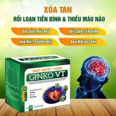 Hoạt Huyết T-Đình Ginko VT – Hỗ Trợ Tăng Cường Tuần Hoàn Não, Giảm Hoa Mắt Chóng Mặt