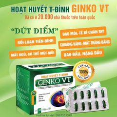 Hoạt Huyết T-Đình Ginko VT – Hỗ Trợ Tăng Cường Tuần Hoàn Não, Giảm Hoa Mắt Chóng Mặt