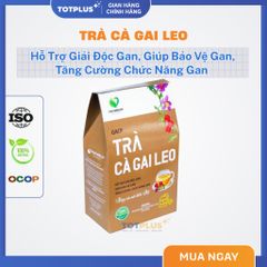 Trà Cà Gai Leo  – Trà Thảo Dược Mát Gan, Giải Độc Gan, Bảo Vệ Gan Tự Nhiên Chuẩn GACP-WHO
