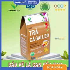 Trà Cà Gai Leo  – Trà Thảo Dược Mát Gan, Giải Độc Gan, Bảo Vệ Gan Tự Nhiên Chuẩn GACP-WHO