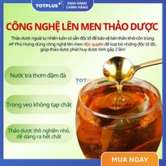 Trà Cà Gai Leo  – Trà Thảo Dược Mát Gan, Giải Độc Gan, Bảo Vệ Gan Tự Nhiên Chuẩn GACP-WHO