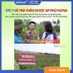 Trà Cà Gai Leo  – Trà Thảo Dược Mát Gan, Giải Độc Gan, Bảo Vệ Gan Tự Nhiên Chuẩn GACP-WHO