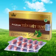 Pygeum Tiền Liệt Tuyến Kingphar – Hỗ Trợ Cải Thiện Tiểu Đêm, Tiểu Khó Do Phì Đại Tiền Liệt Tuyến