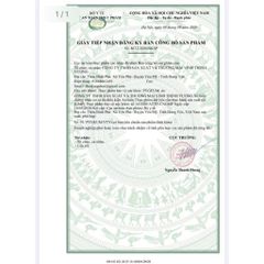 Pygeum Tiền Liệt Tuyến Kingphar – Hỗ Trợ Cải Thiện Tiểu Đêm, Tiểu Khó Do Phì Đại Tiền Liệt Tuyến