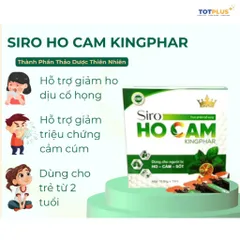 Siro Ho Cam Kingphar - Hỗ Trợ Giảm Ho, Cảm, Sốt - Thành Phần Từ Nguyên Liệu Thiên Nhiên