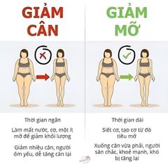 Trà giảm cân Minci concept thành phần tự nhiên giảm hấp thụ chất béo, giải phóng năng lượng thừa trên cơ thể, hộp 30 gói