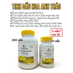 Tinh dầu hoa anh thảo  WARNKE 500mg giúp điều hòa nội tiết tố nữ,giảm rụng tóc,giúp tóc bóng mượt, lọ 100 viên