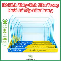 Hồ Kính Siêu Trong | Bể Kính Thủy Sinh Siêu Trong | Bể Kính Nuôi Cá Tép Siêu Trong