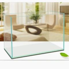 Hồ Kính Siêu Trong | Bể Kính Thủy Sinh Siêu Trong | Bể Kính Nuôi Cá Tép Siêu Trong