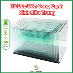 Hồ Đúc Uốn Cong Cạnh Kính Trong Suốt | Dùng Làm Bể Thuỷ Sinh, Cá Cảnh, Nuôi Tép