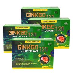 Viên uống bổ não GINKGO NATTOKINASE 120 lưu thông máu não, tăng cường trí nhớ, cải thiện giấc ngủ 01 hộp 100 viên