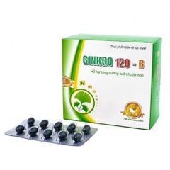 Viên uống bổ não GINKGO NATTOKINASE 120 lưu thông máu não, tăng cường trí nhớ, cải thiện giấc ngủ 01 hộp 100 viên