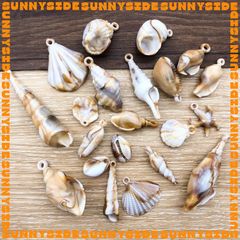 01 Charm Vỏ Sò Vỏ Ốc Nhựa Màu Loang Xà Cừ Làm Vòng Đeo Tay Mặt Dây Chuyền Phụ Kiện Trang Sức