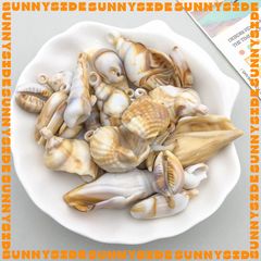 01 Charm Vỏ Sò Vỏ Ốc Nhựa Màu Loang Xà Cừ Làm Vòng Đeo Tay Mặt Dây Chuyền Phụ Kiện Trang Sức
