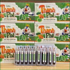 1 CHAI SIRO THANH PHẾ AC MẬT ONG GỪNG HÚNG CHANH – HỖ TRỢ GIẢM HO, GIẢM ĐỜM, GIẢM ĐAU RÁT HỌNG, VIÊM HỌNG, VIÊM PHẾ QUẢN – HỘP 20 ỐNG x 10ML.