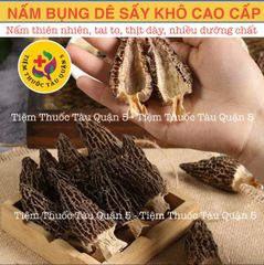 Nấm Bụng Dê 20GRAM HÀNG TỰ NHIÊN, THỊT DẦY (Nguyên liệu nấu canh, hầm bổ dưỡng) 305716