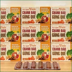 1 HỘP KẸO NGẬM VIALA CHANH ĐÀO GỪNG QUẾ - HỖ TRỢ GIẢM HO, LONG ĐỜM, MÁT HỌNG, TINH DẦU BẠC HÀ - HỘP 24 VIÊN